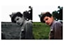 professionally colorize black and white photos and restore